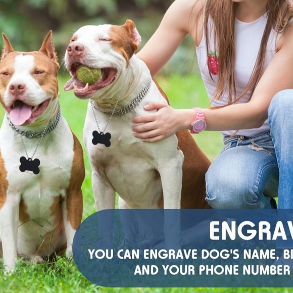 150 + Pieces Blank Dog Pet Metal Bone Shaped Id Tags Aluminum Steel Chains Key - Picture 5 of 7